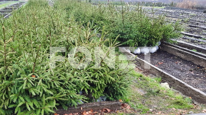 Apel povodom praznika